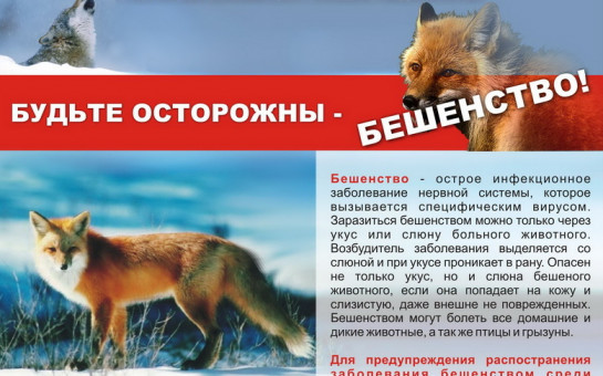 Осторожно бешенство!!!