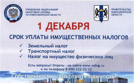 1 декабря -срок уплаты имущественных налогов