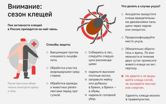 О профилактике клещевого вирусного энцифалита