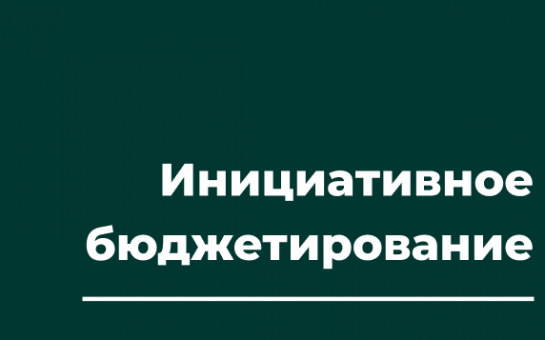 «Методические рекомендации по подготовке заявок на участие в конкурсном отборе инициативных проектов 2026 года».
